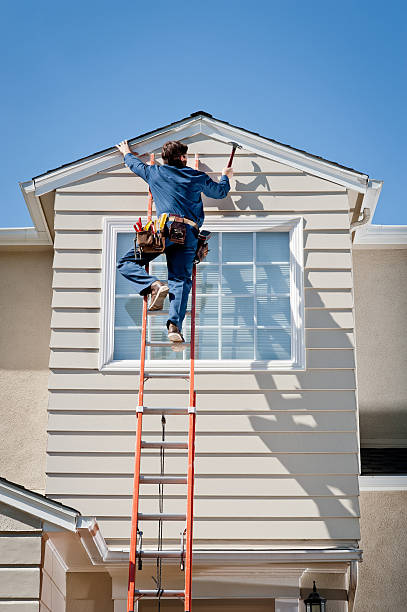 Best Stone Veneer Siding  in Sheldon, IA